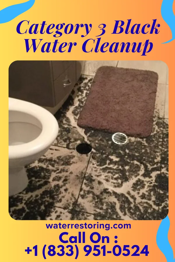 Category 3 Black Water Cleanup in Kanab, UT