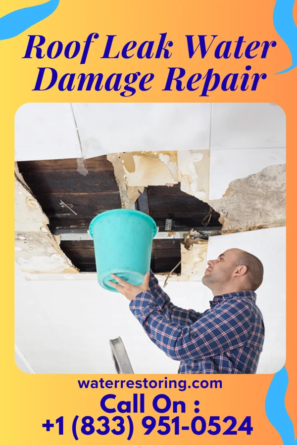 Roof Leak Water Damage Repair in Kanab, UT
